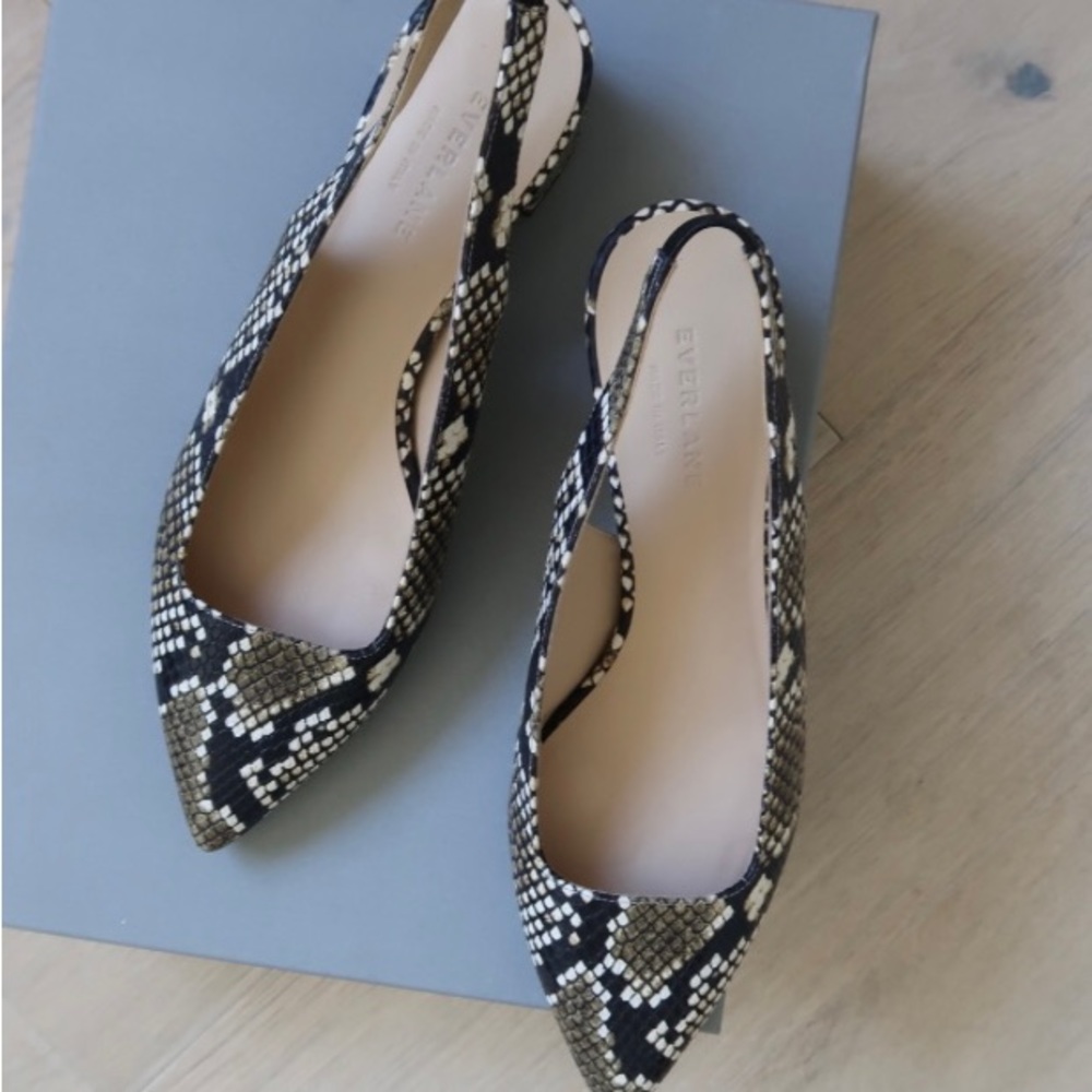 Everlane snake print heels